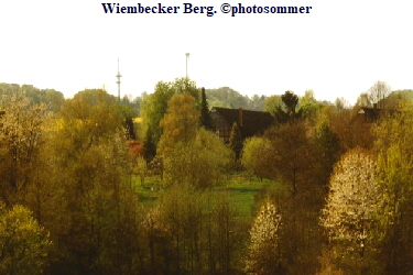 1-Wiembecker Berg Le