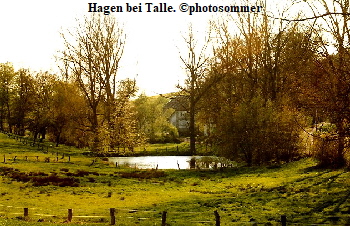 1- Hagen b.Talle KA