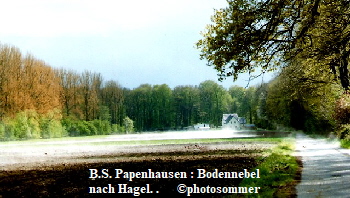BSPapenhausenNebel 2