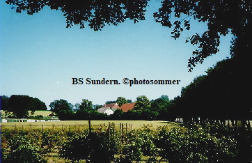 BSSundern