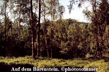 Bärenstein103
