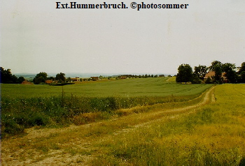 EX - Hummerbruch