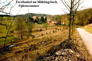 Forellenhof Mühlingsbach