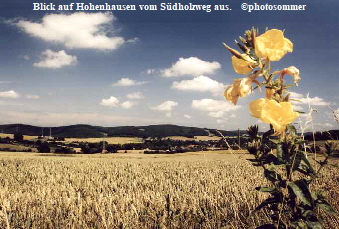 Blick auf Hohenhausen vom Südholzweg aus.   ©photosommer