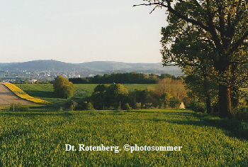 Rotenberg Hermann 02 (2)
