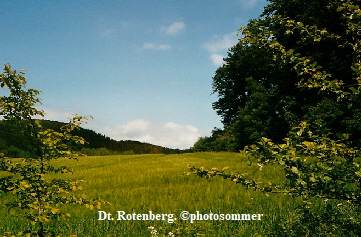 Rotenberg Süd