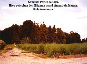 Sand bei Pottenhausen