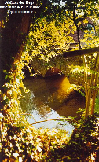 Abfluss der Bega 
unterhalb der Oelmühle.
©photosommer