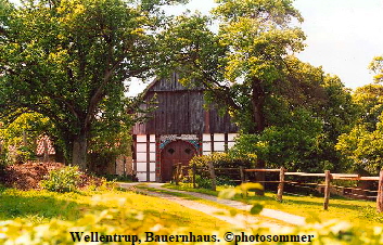 Wellentrup Bauernhaus 09