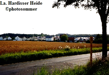 a_La_Hardisser_Heide