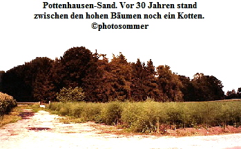 a_Sand_bei_Pottenhausen