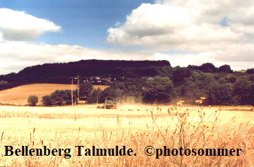 Bellenberg Talmulde.  ©photosommer