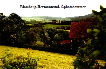 Bl-Hermannstal02