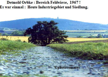 Detmold Orbke : Bereich Feldwiese,  1967 !  
Es war einmal :  Heute Industriegebiet und Siedlung.












                                                  ©photosommer