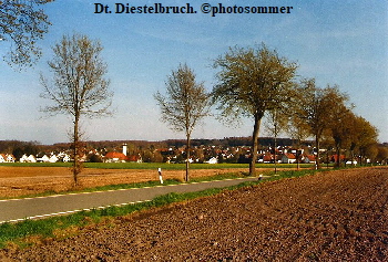 DT Diestelbruch