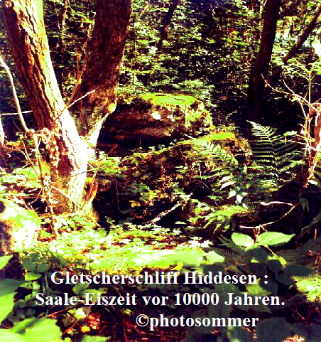 Gletscherschliff Hiddesen :
Saale-Eiszeit vor 10000 Jahren.
               ©photosommer