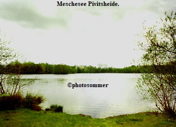 Meschesee Pivitsheide.










©photosommer