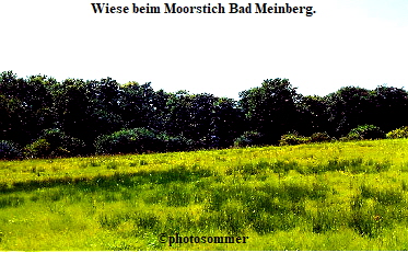 MoorstichwieseHBM2
