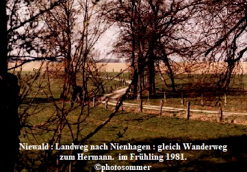 Niewald : Landweg nach Nienhagen : gleich Wanderweg
 zum Hermann.  im Frühling 1981. 
©photosommer