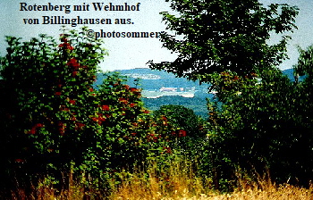 Rotenberg Wehmhof v.Billinghausen aus02