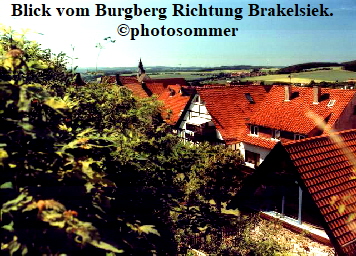 Blick vom Burgberg Richtung Brakelsiek.  
©photosommer