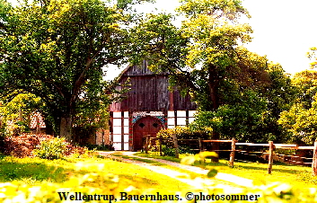 Wellentrup Bauernhaus 09