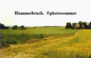 a_EX_-_Hummerbruch