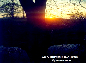 Am Oetternbach in Niewald.
                                                    photosommer