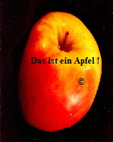 Das ist ein Apfel !

                       ©