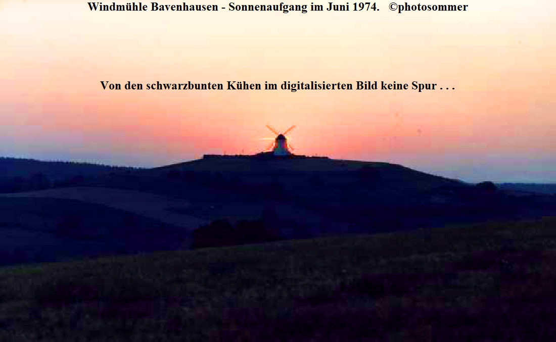 Windmühle Bavenhausen - Sonnenaufgang im Juni 1974.   ©photosommer





Von den schwarzbunten Kühen im digitalisierten Bild keine Spur . . .