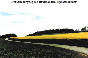 Der Almbergweg von Brokhausen.  photosommer