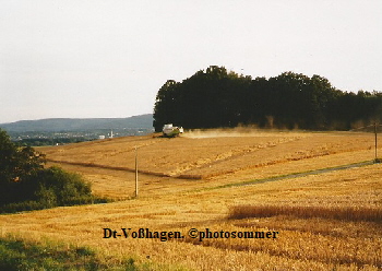 Dt Vohagen02
