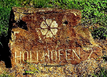 Hollhfen01