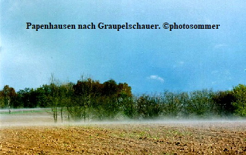 BS.Papenhausen Nebel1