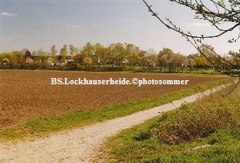 a_BS_Lockhauser_Heide
