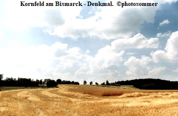 Kornfeld am Bismarck - Denkmal.  ©photosommer