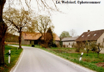 LE Welstorf