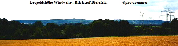 Windwehe bei Leo Blick Ri. Bielefeld