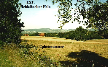 a_EXTHeidelbecker_Holz