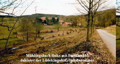 a_Forellenhof_Muhlingsbach
