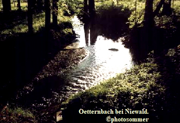 Oetternbach203