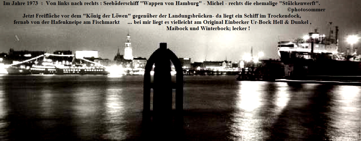 Hamburger Hafen : Von Steinwerder aus Blick auf Landungsbrücken und Michel.