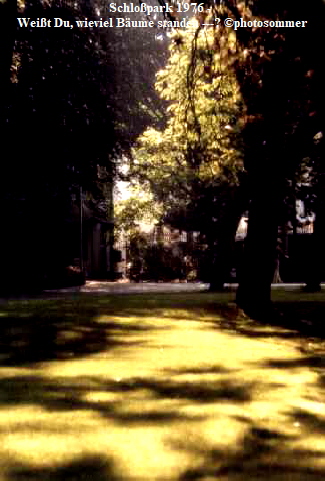 Schloßpark 1976 - 
Weißt Du, wieviel Bäume standen ---? ©photosommer
