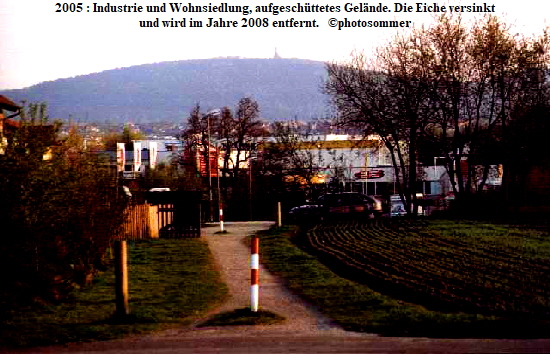 2005 : Industrie und Wohnsiedlung, aufgeschüttetes Gelände. Die Eiche versinkt
und wird im Jahre 2008 entfernt.   ©photosommer