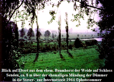 Blick auf Elvert aus dem ehem. Baumhorst der Weide auf Schloss
 Senden, ca. 12 m über der ehemaligen Mündung der Dümmer 
in die Stever-  zur Internatszeit 1964 ©photosommer